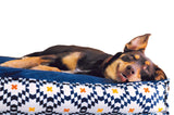 P.L.A.Y Marina Boxy Bed