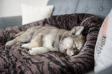 P.L.A.Y Snuggle Bed