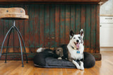 P.L.A.Y California Dreaming Memory Foam Bed