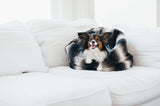 P.L.A.Y Snuggle Bed