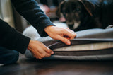 P.L.A.Y California Dreaming Memory Foam Bed