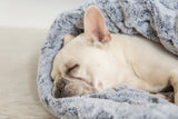 P.L.A.Y Snuggle Bed