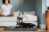 P.L.A.Y Coastal Series Chill Pad