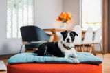 P.L.A.Y Coastal Series Chill Pad