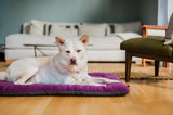 P.L.A.Y Coastal Series Chill Pad