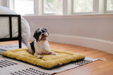 P.L.A.Y Canyon Series Chill Pad