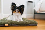 P.L.A.Y Canyon Series Chill Pad