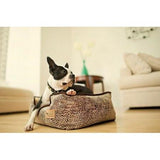 P.L.A.Y Lounge Beds for Pets