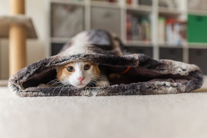 P.L.A.Y Snuggle Bed