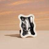 L'Objet Ripple Frame