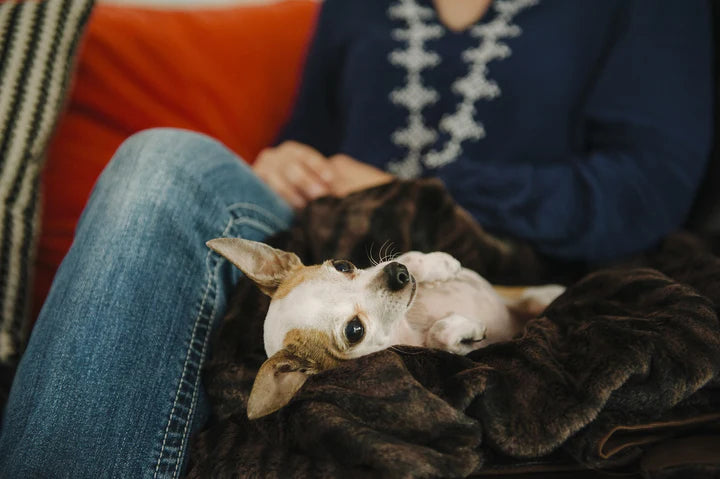 P.L.A.Y Luxe Throw
