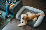 P.L.A.Y California Dreaming Memory Foam Bed