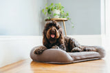 P.L.A.Y California Dreaming Memory Foam Bed