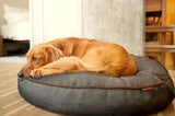 P.L.A.Y Lounge Bed for Pets