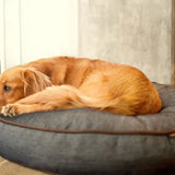 P.L.A.Y Lounge Bed for Pets