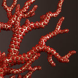 L'Objet Coral Centerpiece