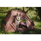 P.L.A.Y Outdoor Dog Tent