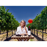 VitaJuwel Wine Decanter