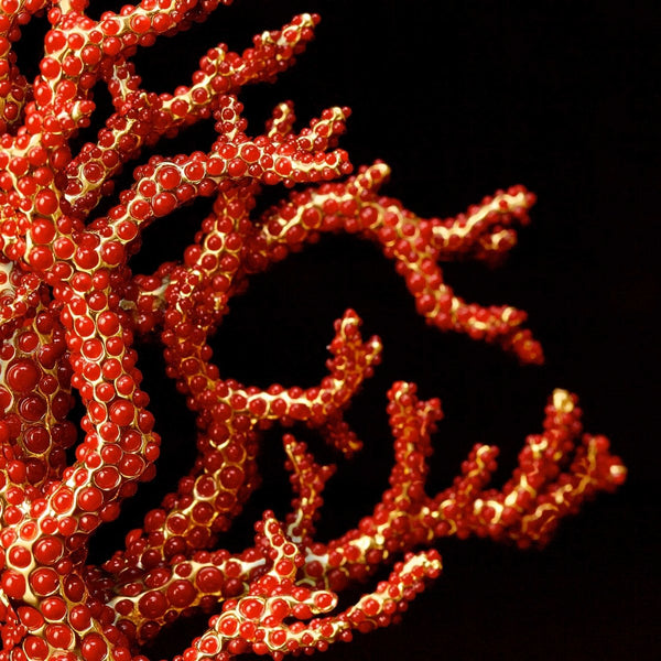 L'Objet Coral Bookend