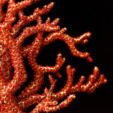 L'Objet Coral Bookend